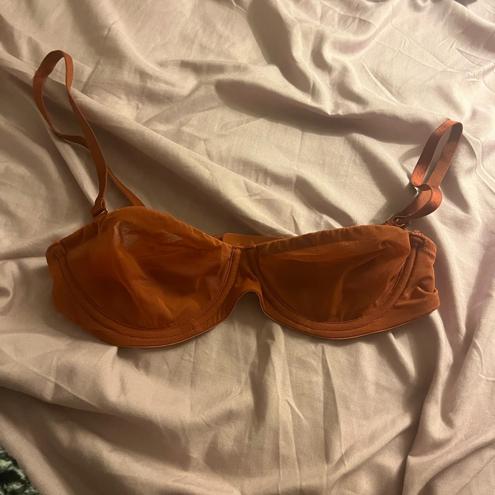 Skims bra